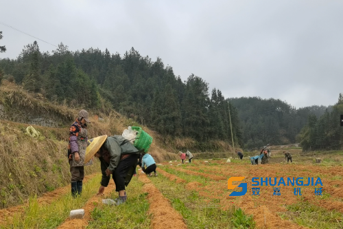 1648436751185404.png 10-54-39-19-283825.png