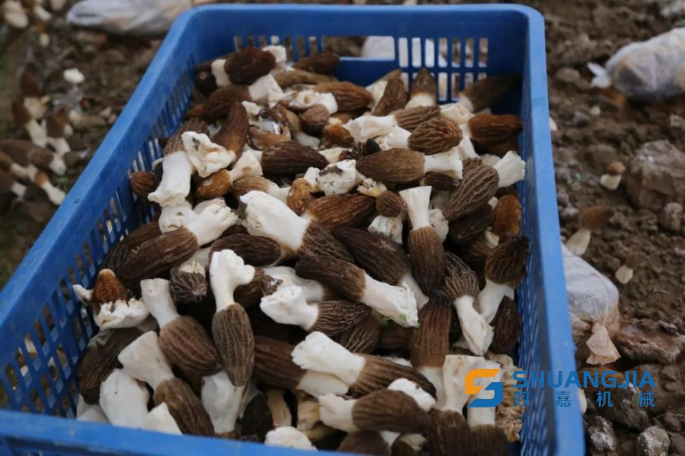 1648688948166092.jpg 16-57-44-23-283825.jpg