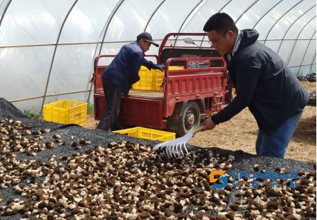 1648948857422981.png 17-00-28-21-283825.png