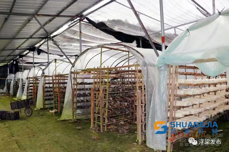 1649124959143300.jpg 20220329033809200.jpg