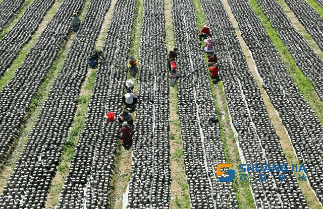 1649299318211474.png 10-01-04-29-283825.png