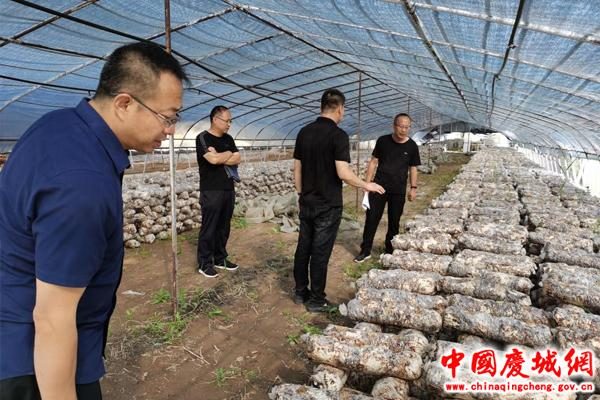 1649730052630508.jpeg 0WLXUluALL.JPEG