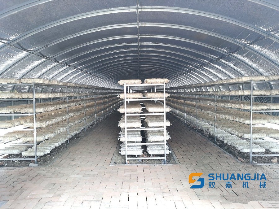 1650332862108313.jpg 16-08-26-56-283825.jpg