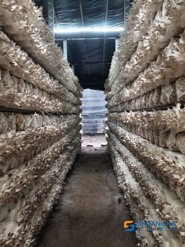 1650765657130938.jpg 13-42-31-18-283825.jpg