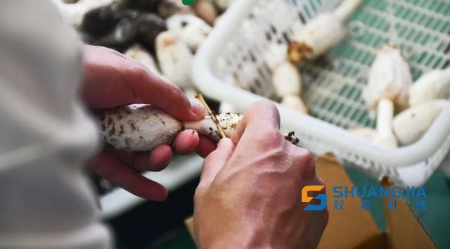 1650936556160515.jpg 10-38-23-79-283825.jpg