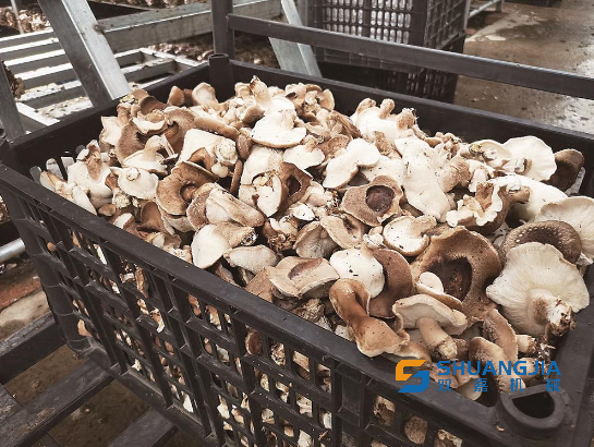 1651026837189778.png 09-29-02-34-283825.png