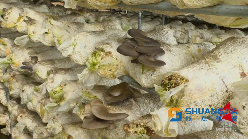 1651028426190715.jpg 08-47-14-13-283825.jpg