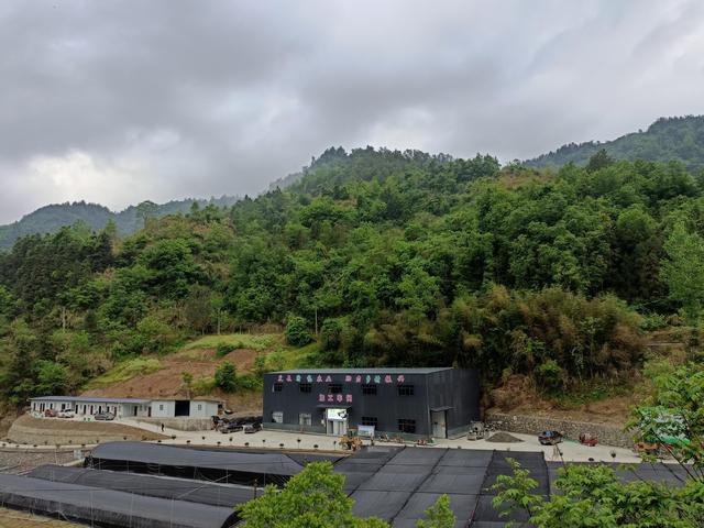 1651279532452936.jpeg 08-35-57-52-283825.jpeg