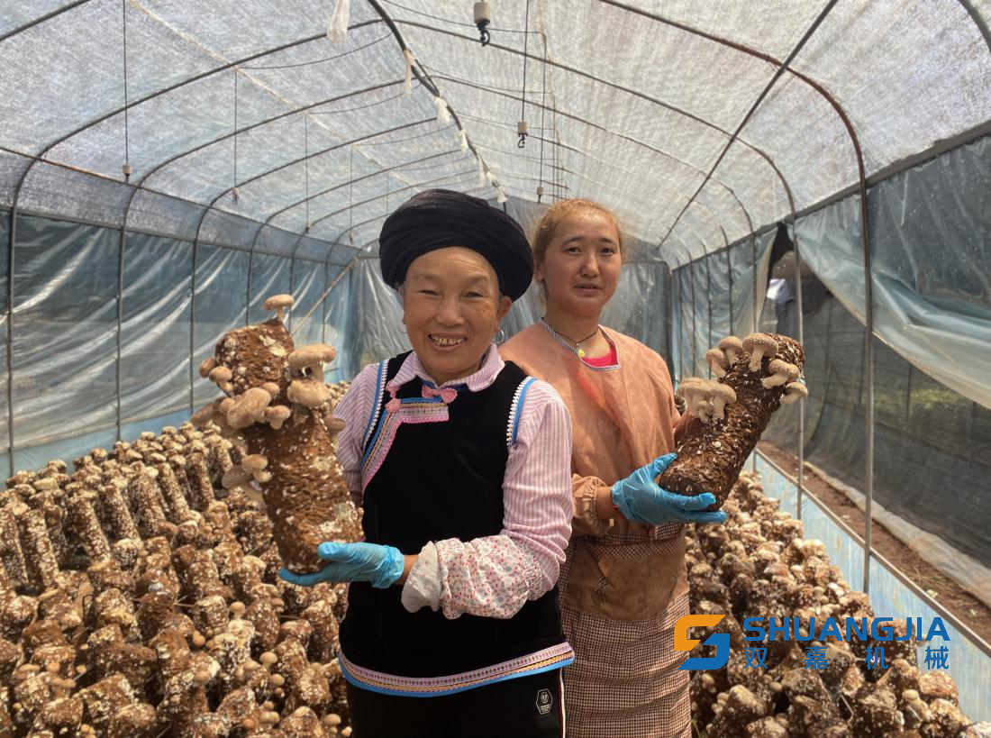 1652752144161359.png 11-23-25-23-283825.png