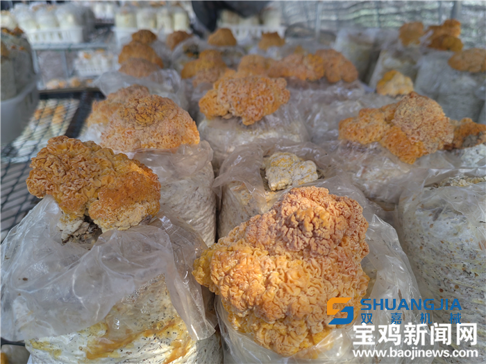 1652752470622323.png 16-48-55-24-283825.png