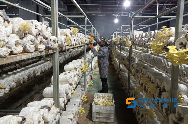 1652834268116757.png 13-33-58-58-283825.png