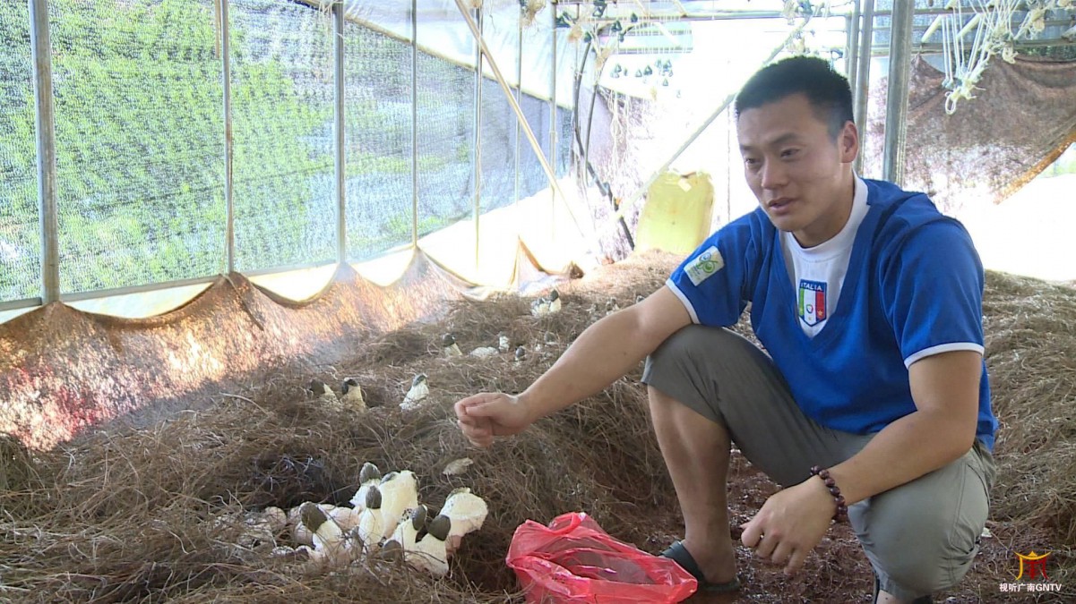 1652834426733642.jpeg 15-58-21-40-283825.jpeg