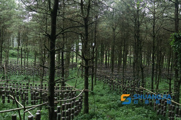 1653012037573724.jpg 11-57-14-69-283825.jpg