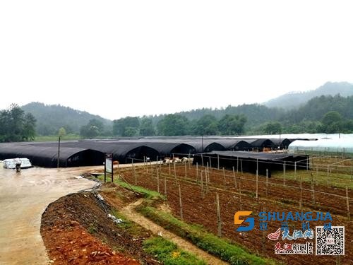 1653012855127627.jpg 09-39-33-27-283825.jpg