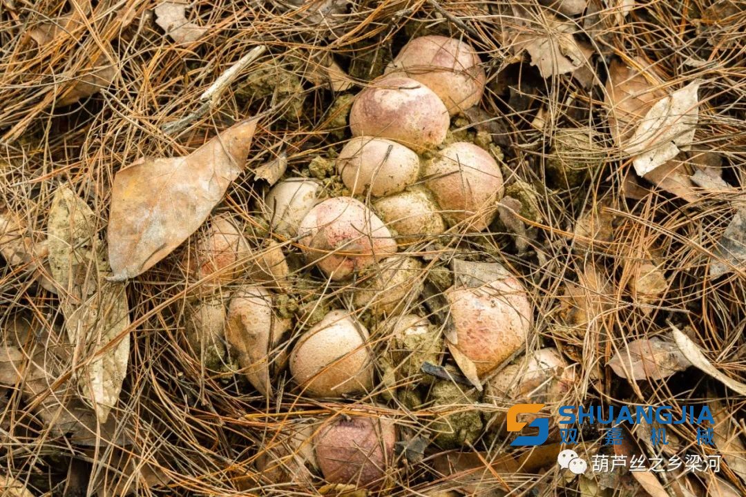 1653292234174342.jpg 10-16-41-37-283825.jpg